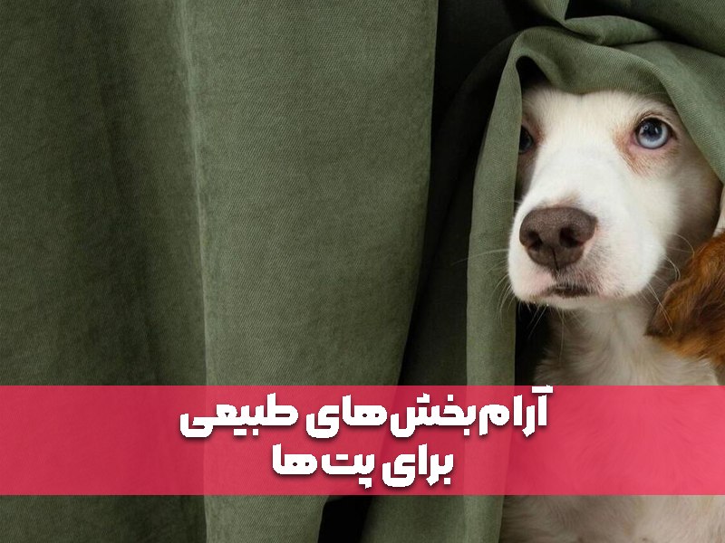 آرام‌بخش‌های طبیعی برای پت‌ها